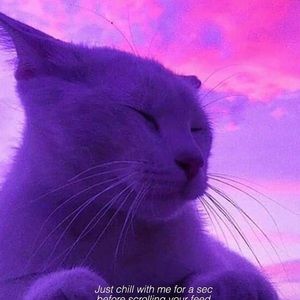 Meet your Posher, Jheridan